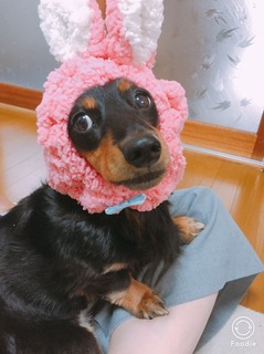 1504682679739.jpg
