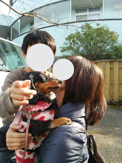InShot_20180429_181051438.jpg