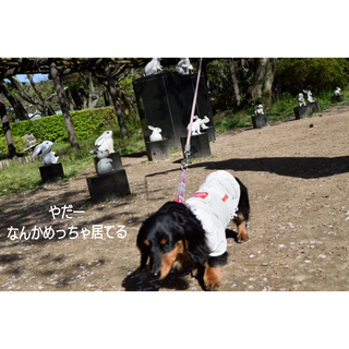 InShot_20190427_200638789.jpg