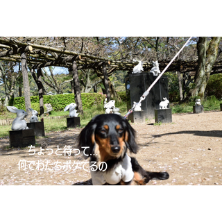 InShot_20190427_200818957.jpg