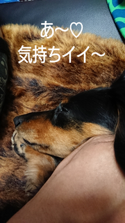 InShot_20190527_134048776.jpg