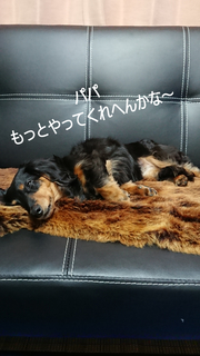 InShot_20190527_152429400.jpg