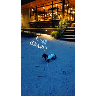 InShot_20190812_170112935.jpg