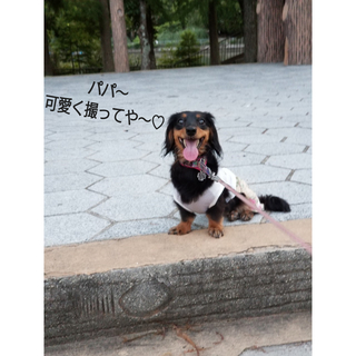 InShot_20190812_170243178.jpg