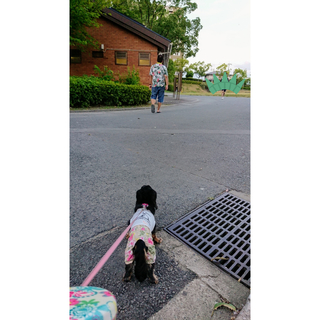 InShot_20190812_170547652.jpg