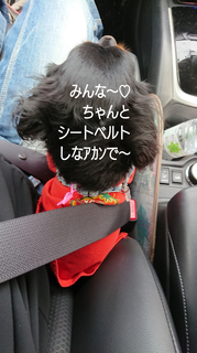InShot_20190928_221712703.jpg
