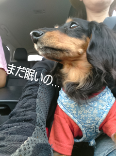 InShot_20190928_221814665.jpg