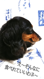 InShot_20190930_162255517.jpg